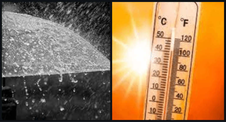 Electric Picnic weekend weather will be hot and wet Electric Picnic weekend weather will be hot and wet