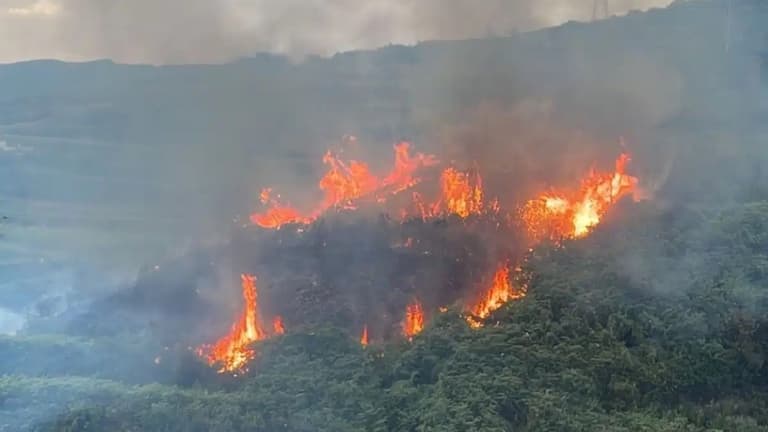 Mass evacuation on Canary Islands as extreme heatwave causes wildfires Mass evacuation on Canary Islands as extreme heatwave causes wildfires