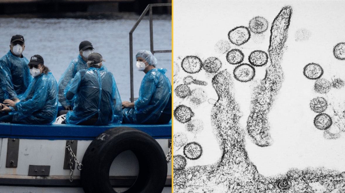 Irish passengers on board hantavirus-hit ship to be flown home as government jet reaches Tenerife
