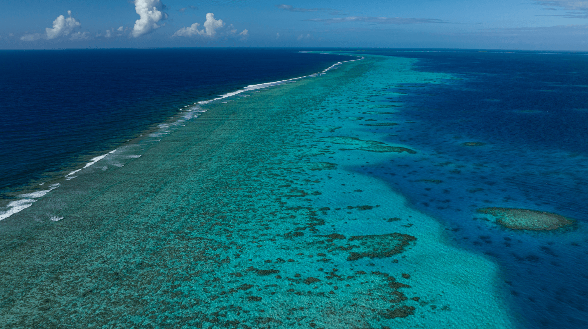 Man dies in shark attack on Australia’s Great Barrier Reef