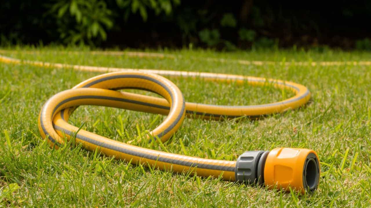 Everything you need to know about Ireland’s hosepipe ban Everything you need to know about Ireland’s hosepipe ban